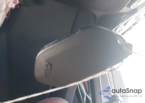 2024 Kia Telluride Ex from USA, damaged, VIN 5XYP3DGC9RG470712